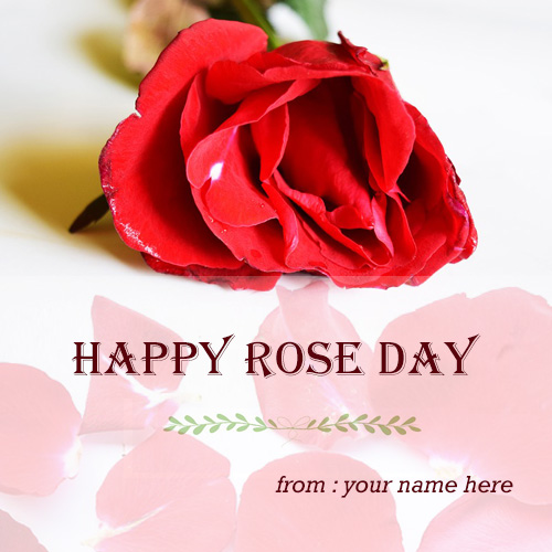 beautiful rose flowers images greeting cards with name images