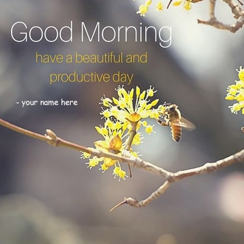 have a beautiful and productive day quotes name pics