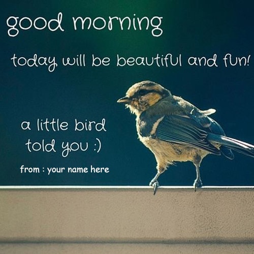 write name good morning quotes with birds